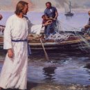 베드로의원 이미지