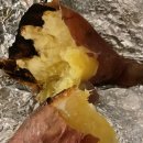 연에르모쏘 이미지