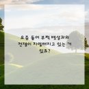 운동메이트 이미지