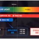 다비치안경 화서점 네이버블로그