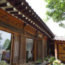 국화정원 이미지