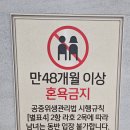 현대카월드 | 하이원 워터월드 9월 후기. 아이와 함께 실내 수영장...등 시설 이용 후기. 현대홈쇼핑 패키지 상품 내...