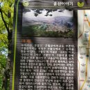 윤산 정상 Daum카페