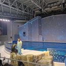 오션 아레나 이미지