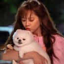 신은수피아노학원 이미지