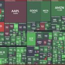 (주)브이티바이오 이미지