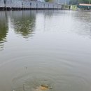 새말낚시터 이미지