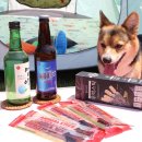 도기크루 이미지