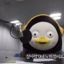 뽁 이미지