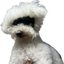 참결한방병원 이미지