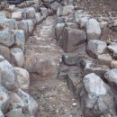 황령산 편백단지 이미지