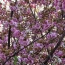 천사섬 동물병원 이미지