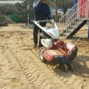 엄정초교 병설유치원 이미지