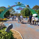 26년 드럼파크 국화축제 이미지