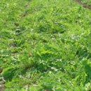 민들레유통 이미지