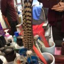 성심이용원 이미지