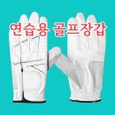 구구스크린골프 이미지