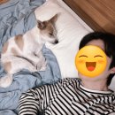 탐스럽개 | 부산 경남 근교 애견동반 펜션 추천 탐스럽개(애견동반 카라반)내돈내산 후기