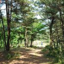 청수목장 이미지