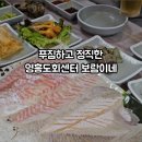 보람이네횟집 네이버블로그