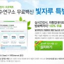 빛자루