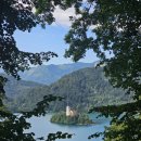 장산부부한의원 | 10개월 만에 자연임신 성공, 임신 5주차 아기집 확인 후 또 다시 기다림 (feat. 제가 쌍둥이 엄마라고요?)