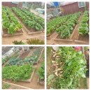 햇님농장 이미지