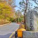 영인산자연휴양림 이미지