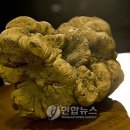 [먹거리 이야기] 진미(珍味)와 진미(眞味) 이미지