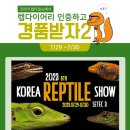 렙타일코리아 이미지
