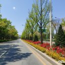 남부문화예술회관 이미지