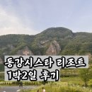 청풍목장 | 탑스텐 동강시스타 리조트 1박2일 후기 (Feat. 로얄스위트B)