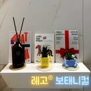 봄날에햇살 | 레고 보태니컬 &#39;봄날의 햇살&#39; 후기｜꽃보다 오래 가는 조화 레고 완성기 선물이나 인테리어에 딱!