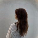 엘바이엘 헤어