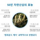 라파테라피 이미지