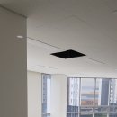 올리브 골프존 이미지