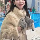 파티세리선물
