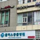 플러스동물병원 | 인천 송도 떡케이크 레터링 앙금 꽃케이크 부모님 생신 선물 감동