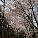 송주불냉면수제왕돈까스.칼국수 이미지