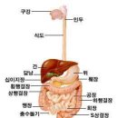 건강상식 --각종질환 예방 이미지