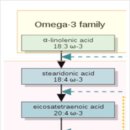 라이프슈퍼 이미지