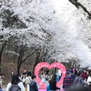 홀린 이미지