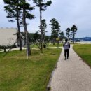 망상오토캠핑리조트 이미지