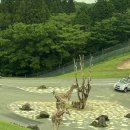 후쿠오카 유후인 30개월 아기랑 벳푸 아프리칸 사파리 렌트카여행