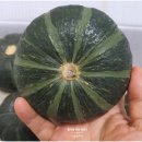 신계농장 이미지