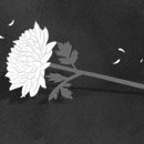 제주순복음사회복지관 이미지