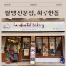 천연발효쌀빵과 쌀디저트 | 건강과 맛 둘 다 잡은 성신여대 쌀빵집 하루한톨 베이커리 후기