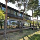 용촌목장 | 속초 아이와 가볼만한 실내카페 아쿠아숲 닥터피쉬 체험