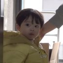 정원카 이미지
