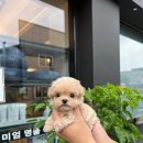 (주)아이토이 이미지